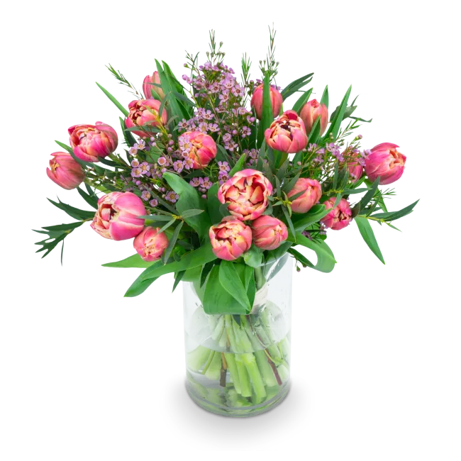 Bouquet of tulips in full bloom